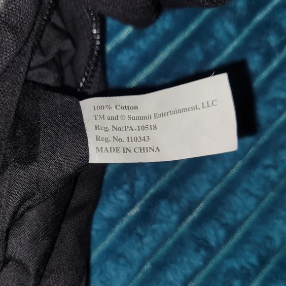 Vintage Y2K Licensed Twilight Edward Cullen Hobo Purse Bag Merch - Picture 2 of 2